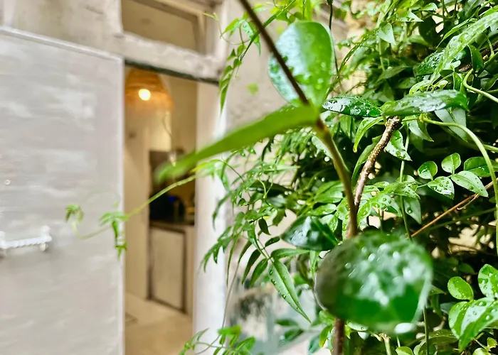 Studio Centre Paris Calme Cosy