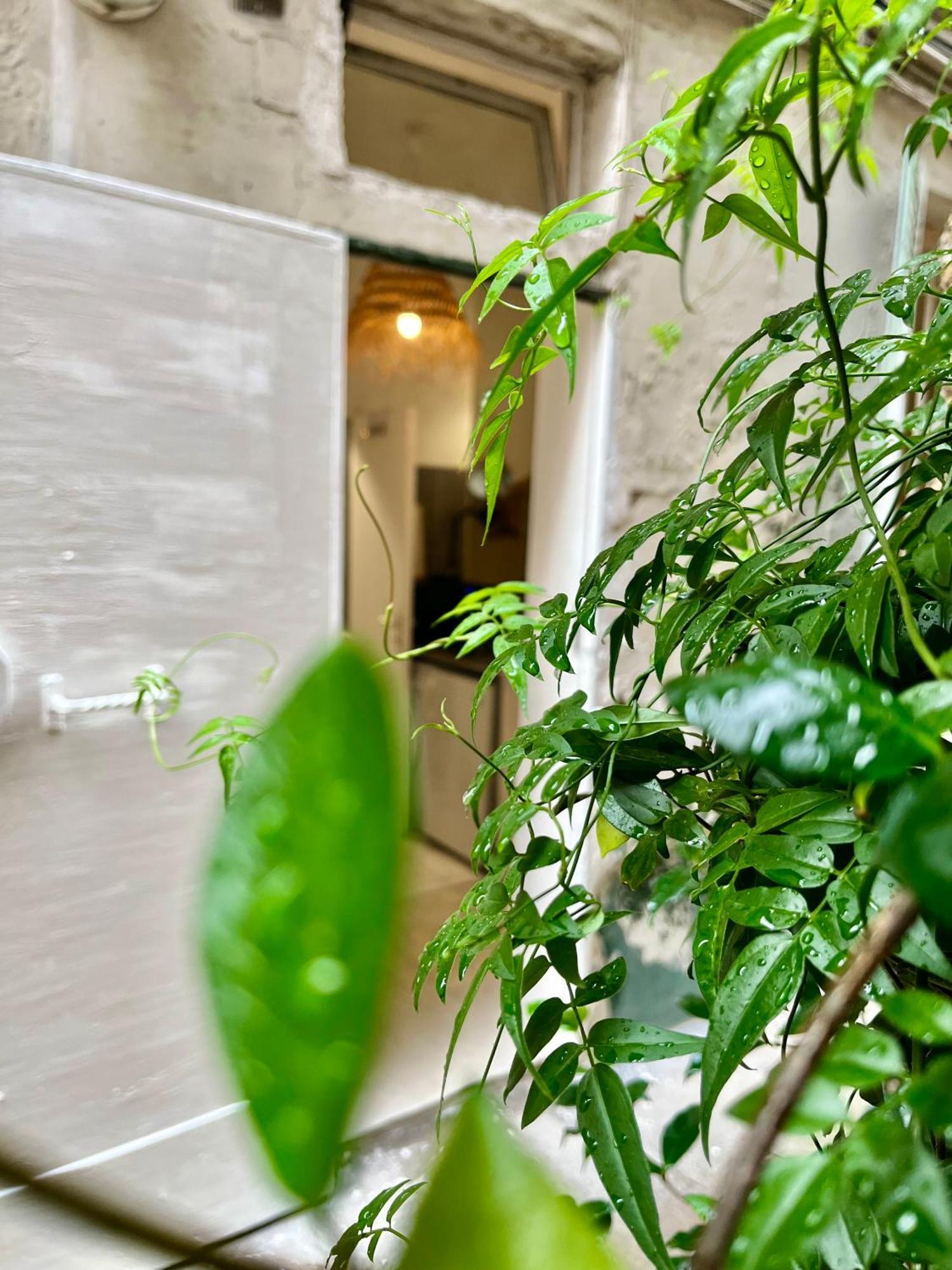 Appartement Centre Calme Cosy *